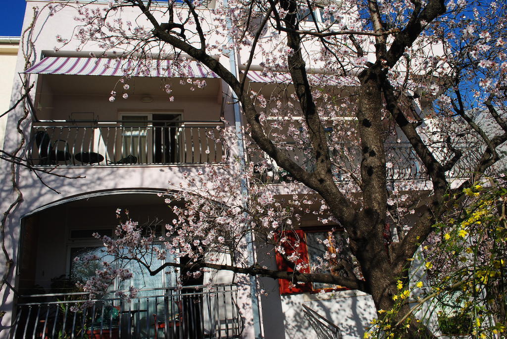 Apartments Natura מאקרסקה מראה חיצוני תמונה