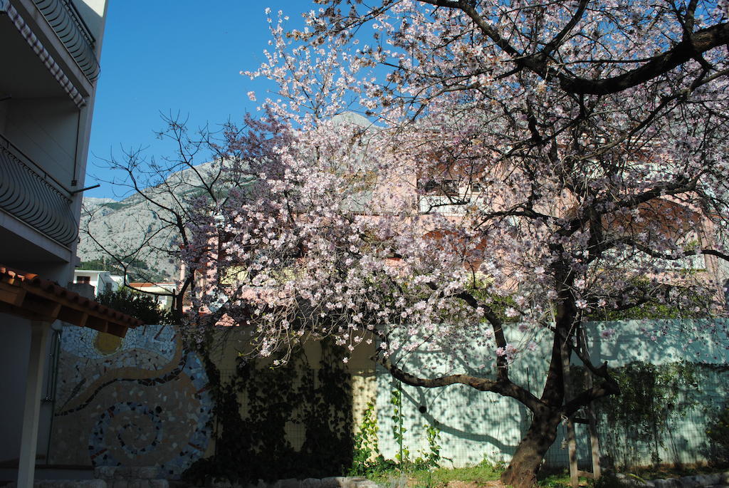 Apartments Natura מאקרסקה מראה חיצוני תמונה